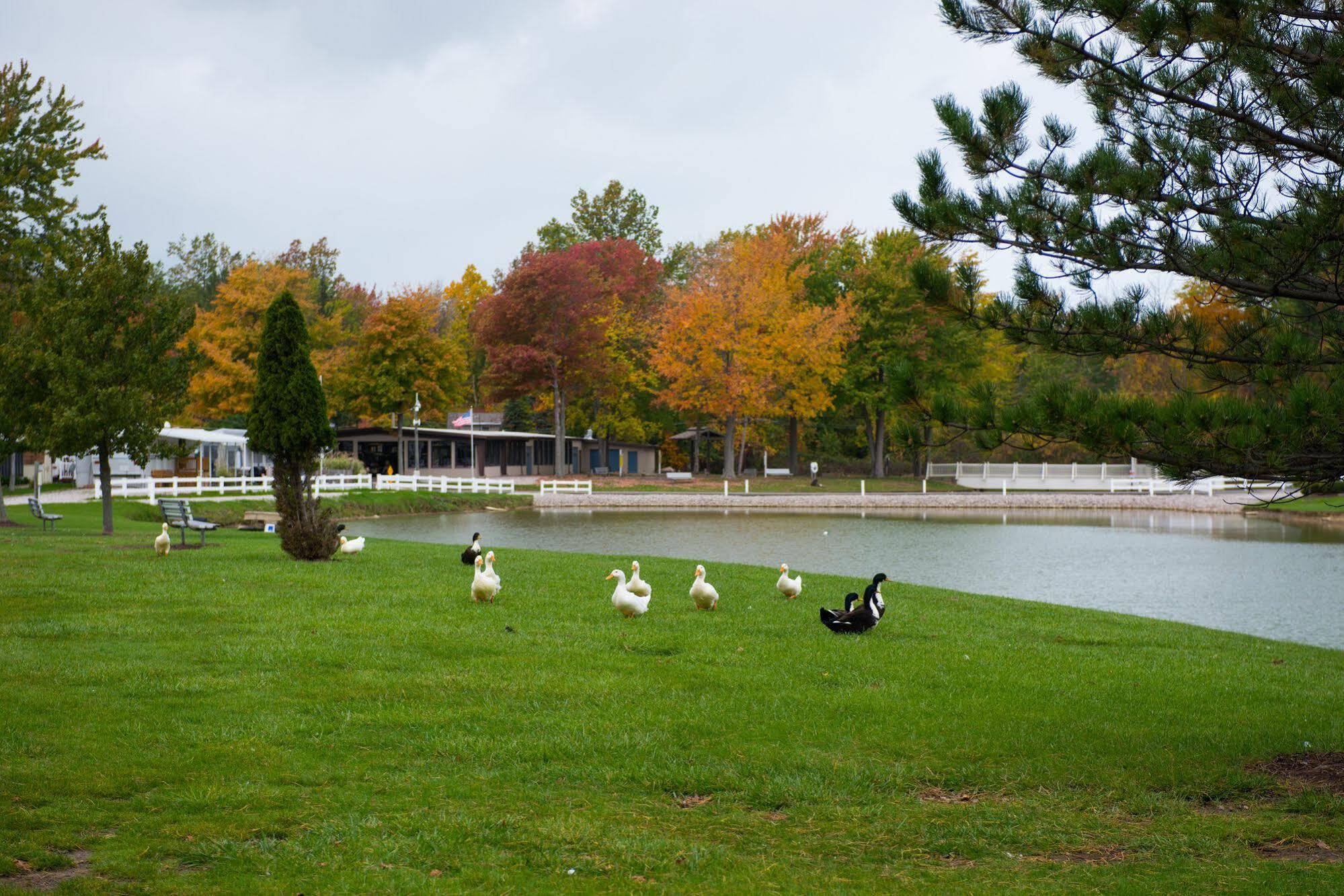 Sun Retreats Geneva On The Lake Exterior foto